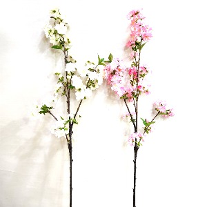 벗꽃열매가지 -95cm